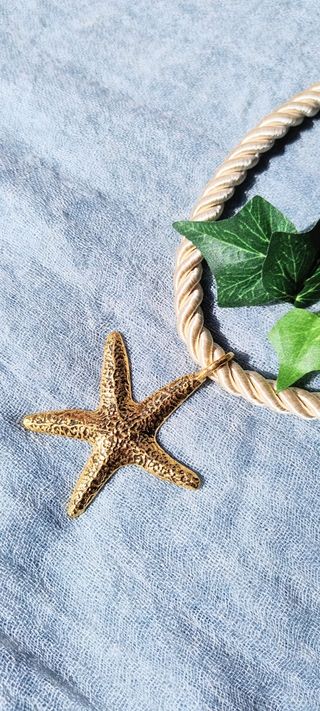 Collar Cordón y Estrella de Mar 