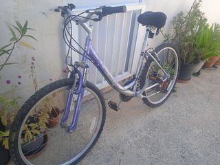 Bicicleta Morada Montaña
