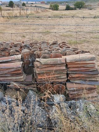 Lote tejas árabes, provincia de Segovia, 2100 teja