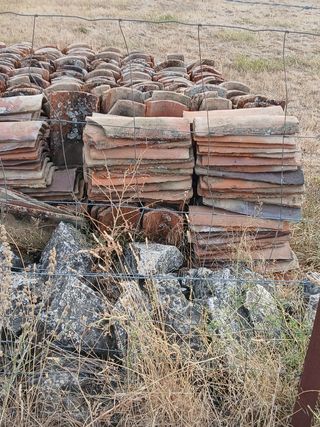 Lote tejas árabes, provincia de Segovia, 2100 teja