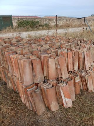 Lote tejas árabes, provincia de Segovia, 2100 teja