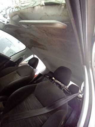 TECHO INTERIOR PEUGEOT 208