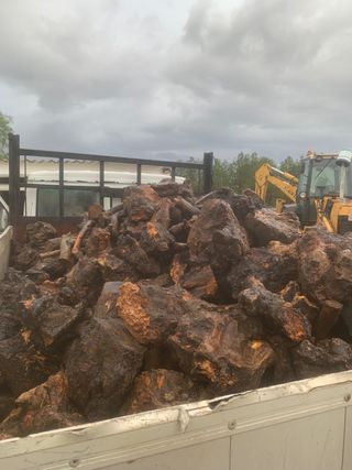 Leña de olivo para chimenea