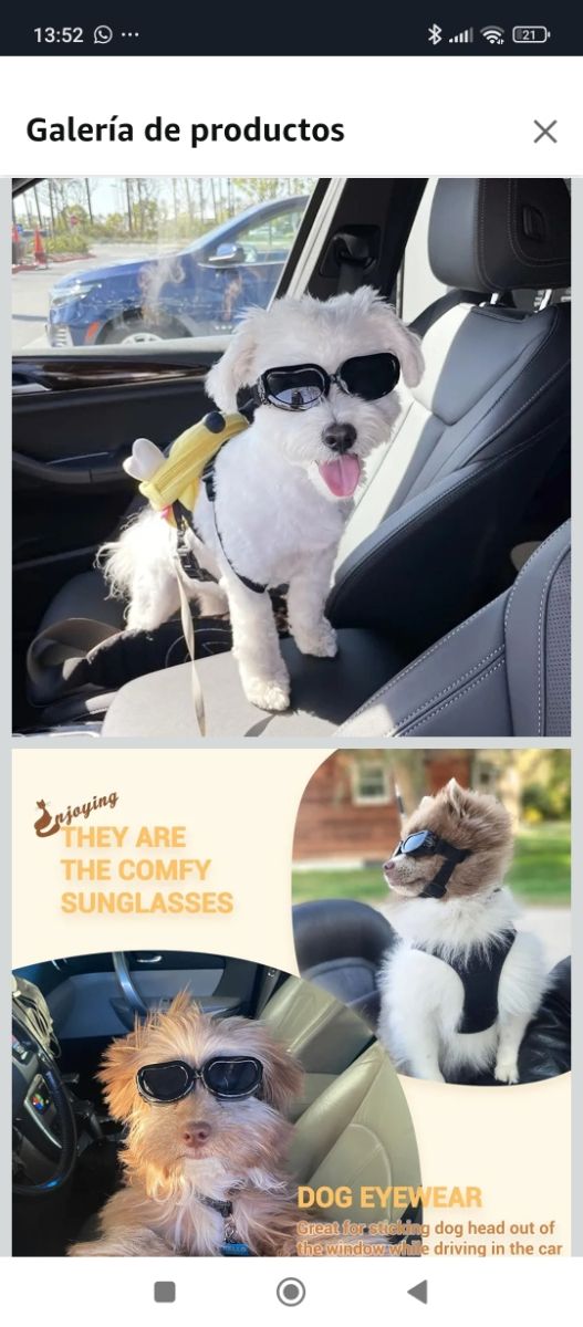 Gafas para perro pequeño