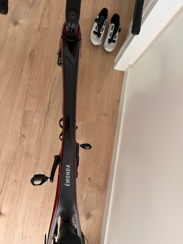 Trek Émonda Talla 56 (yo mido 1.81)