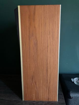 Altavoces Bang & Olufsen S45-2 