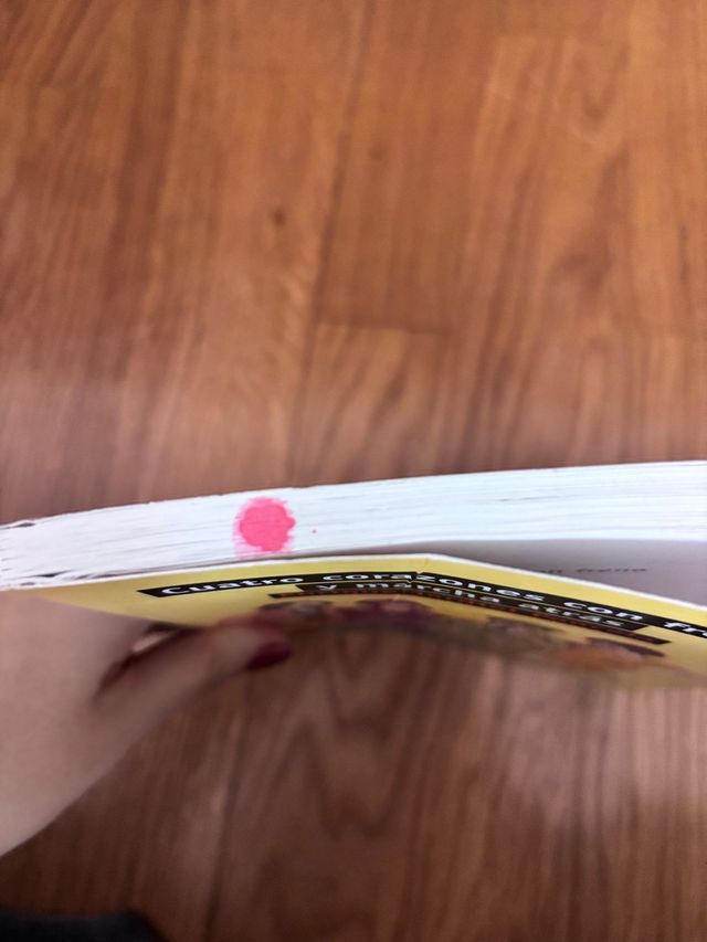 CUATRO CORAZONES CON FRENO Y MARCHA ATRAS