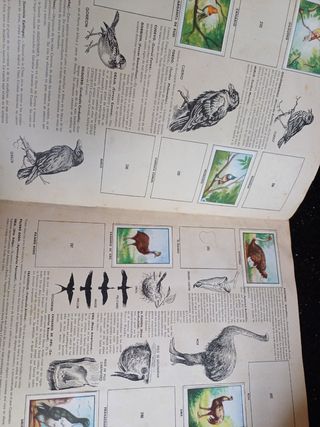 Álbum Zoo con 368 cromos