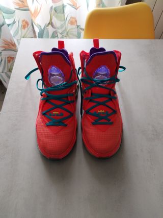 Zapatillas Nike LeBron James 19 Hombre