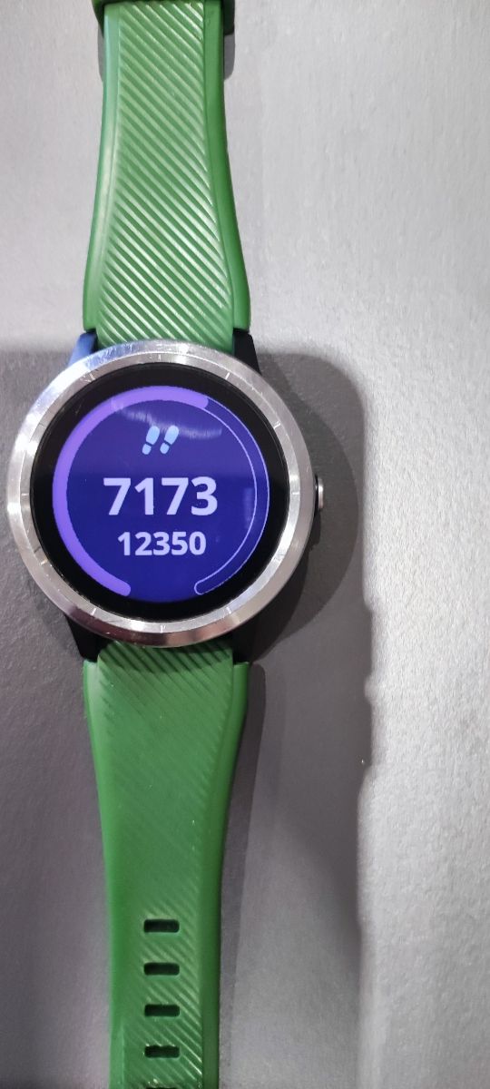 Reloj Garmin Vivoactive 3 Verde/Plata