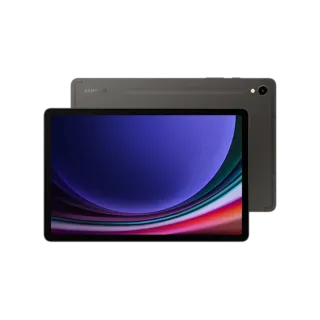 Samsung Galaxy Tab S9 128GB Gris