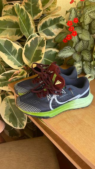 Nike Pegasus Trail 4 Zapatillas Running 
