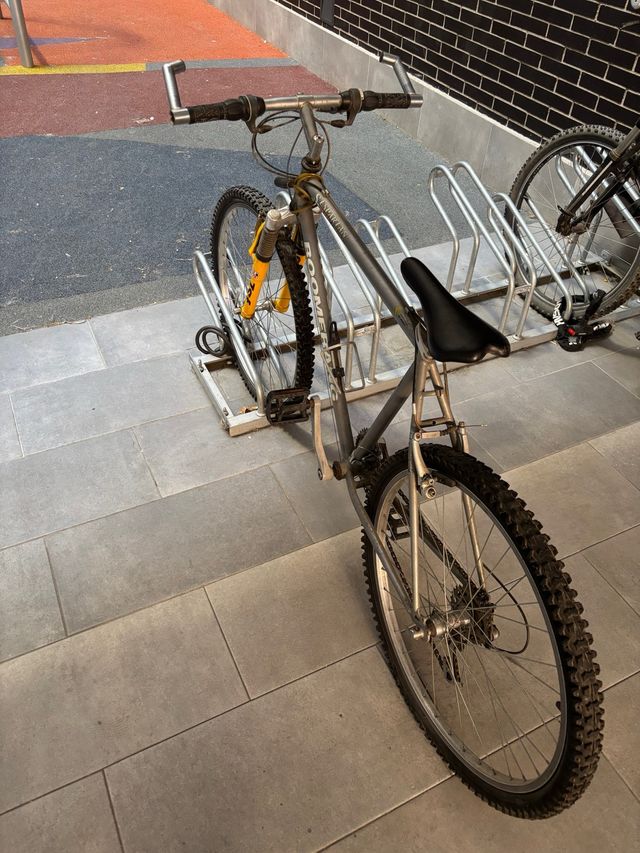 Bicicleta Boomerang