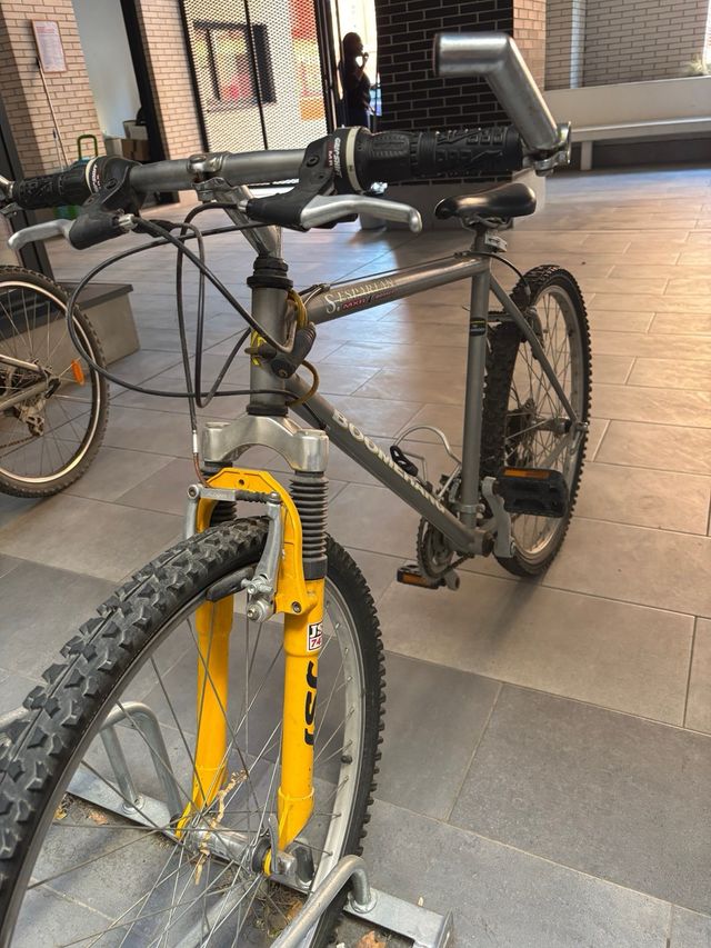 Bicicleta Boomerang