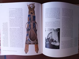 Vita quotidiana degli Indiani del Nord America ...