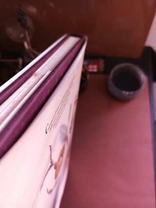 Vita quotidiana degli Indiani del Nord America ...