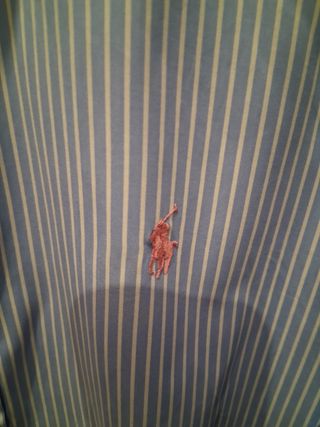 Camisa Ralph Lauren Rayas Talla L