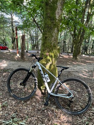 Bicicleta BH Spike 3.0 Gris