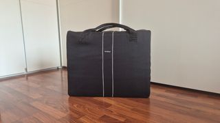Cuna de viaje Babybjorn Light