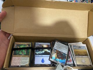 Pack Cartas Magic: The Gathering - Omnath y más