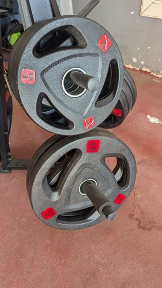 Soporte para discos olímpicos 155kg