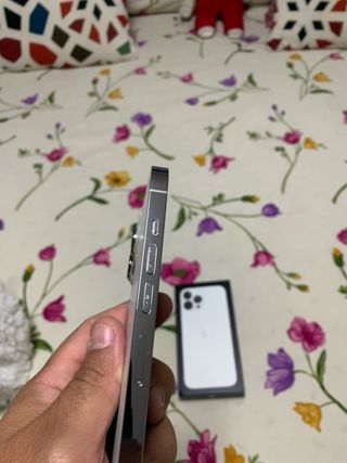 iPhone 13 Pro Max Blanco y Negro