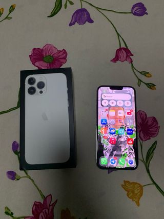 iPhone 13 Pro Max Blanco y Negro