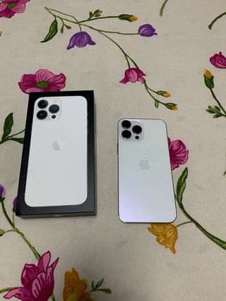 iPhone 13 Pro Max Blanco y Negro