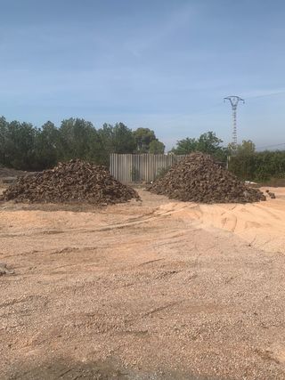 Leña de olivo a domicilio