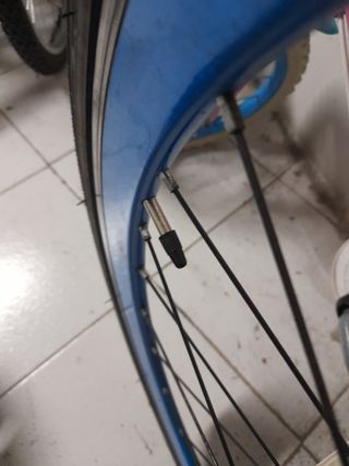 Bicicleta Fixtyle Negra Ruedas Azules
