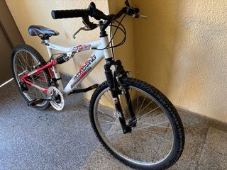 Bicicleta Boomerang Montaña