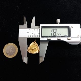 Colgante de Oro 18K (J251964-2)