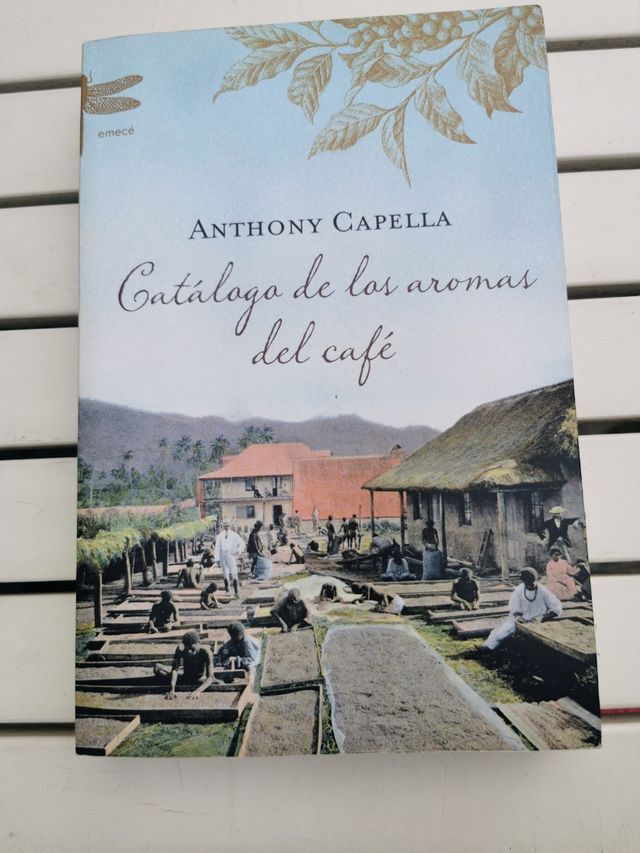 Catálogo de los aromas del café