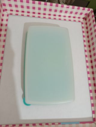 Tupperware Contenitore Verde Acqua