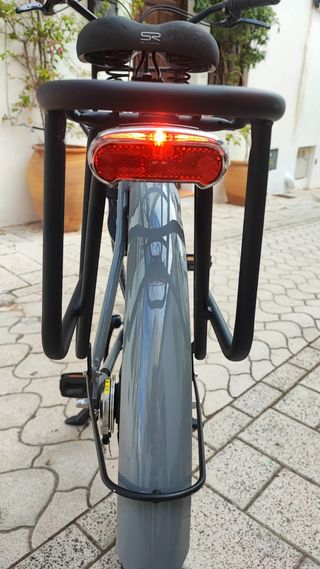 Bicicleta Gazelle Heavy Duty NL