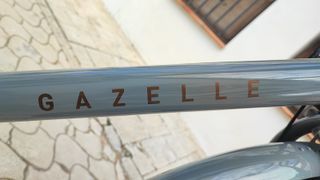 Bicicleta Gazelle Heavy Duty NL