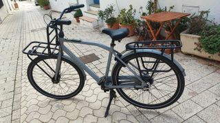 Bicicleta Gazelle Heavy Duty NL
