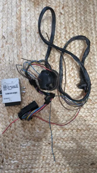 Módulo Bola Enganche BMW E46 Siemens