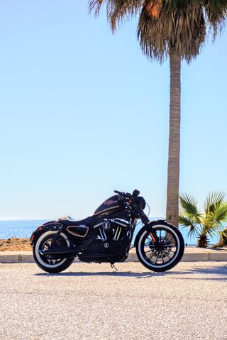 Harley Davidson Sportster 883 Iron