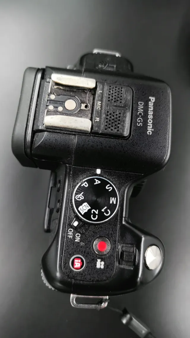 Panasonic G5 Lumix DMC-G5