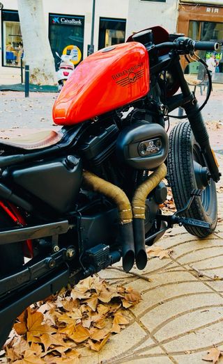 Harley Davidson 883