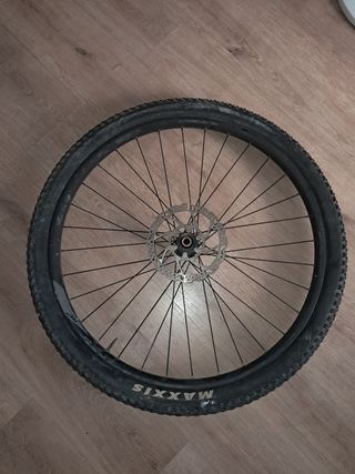 Rueda de Bicicleta con Disco de Freno