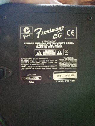 Amplificador Fender 15G