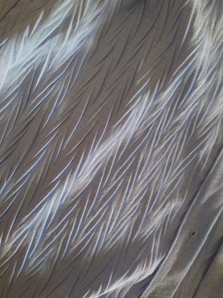 Camisa Vestir Azul Talla XL