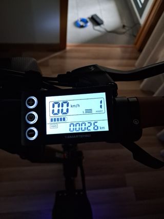 Patinete Eléctrico SmartGyro speedway pro