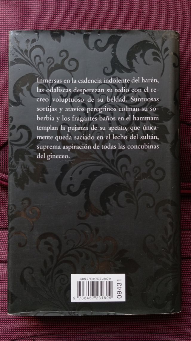 El impudor de la mirada