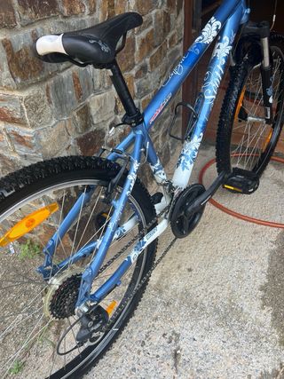Bicicleta Scott Mujer MTB Azul
