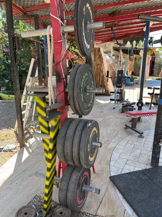 Mancuernas y discos olímpicos 