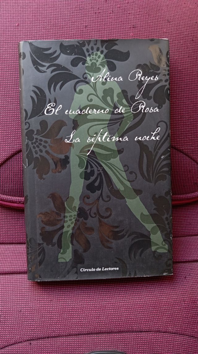 El cuaderno de Rosa: La séptima noche