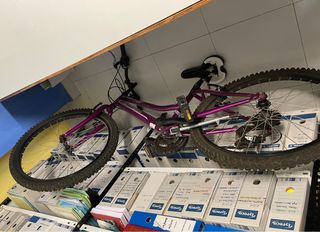 Bicicleta Morada Adolescente